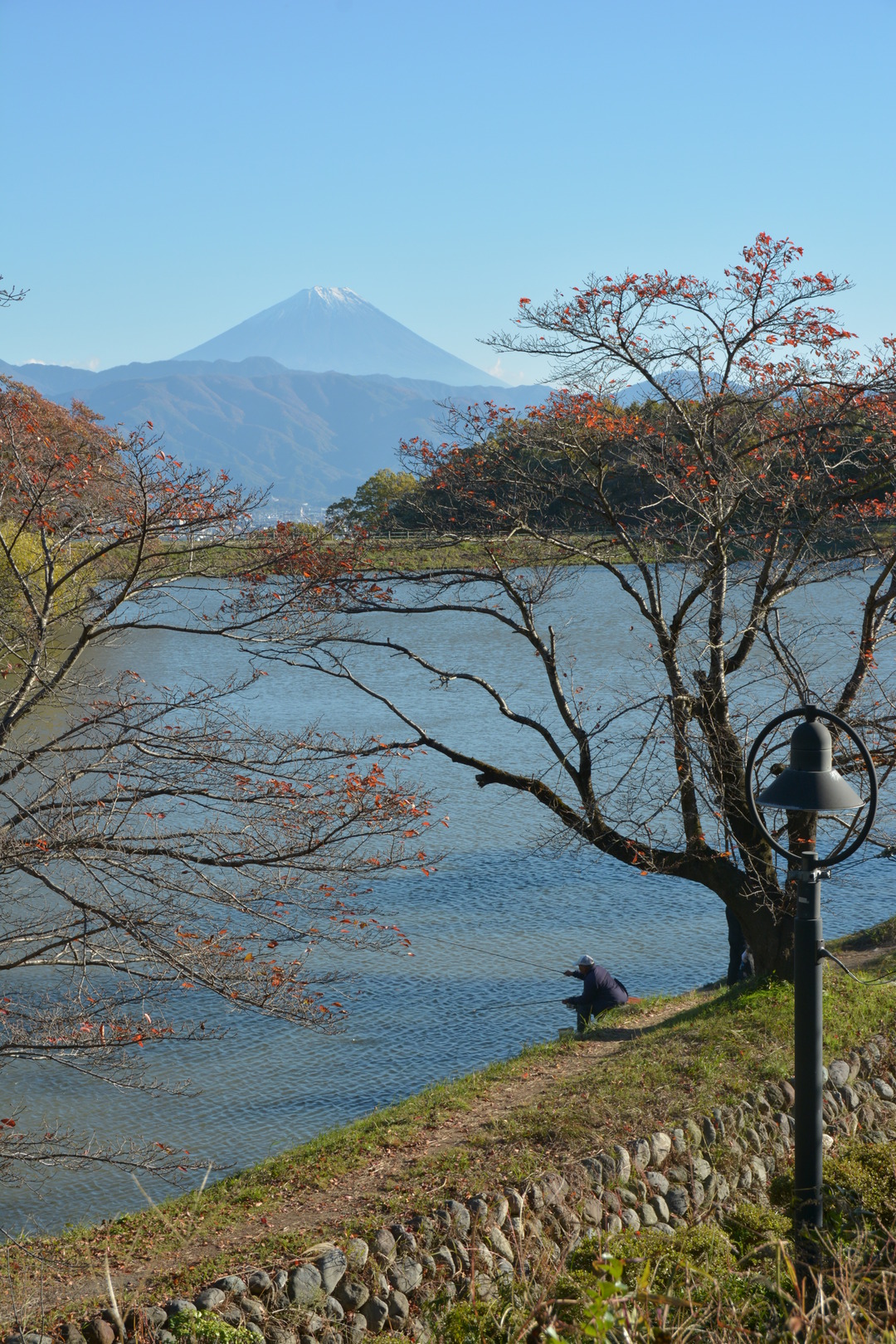矢木羽湖からの富士山の写真